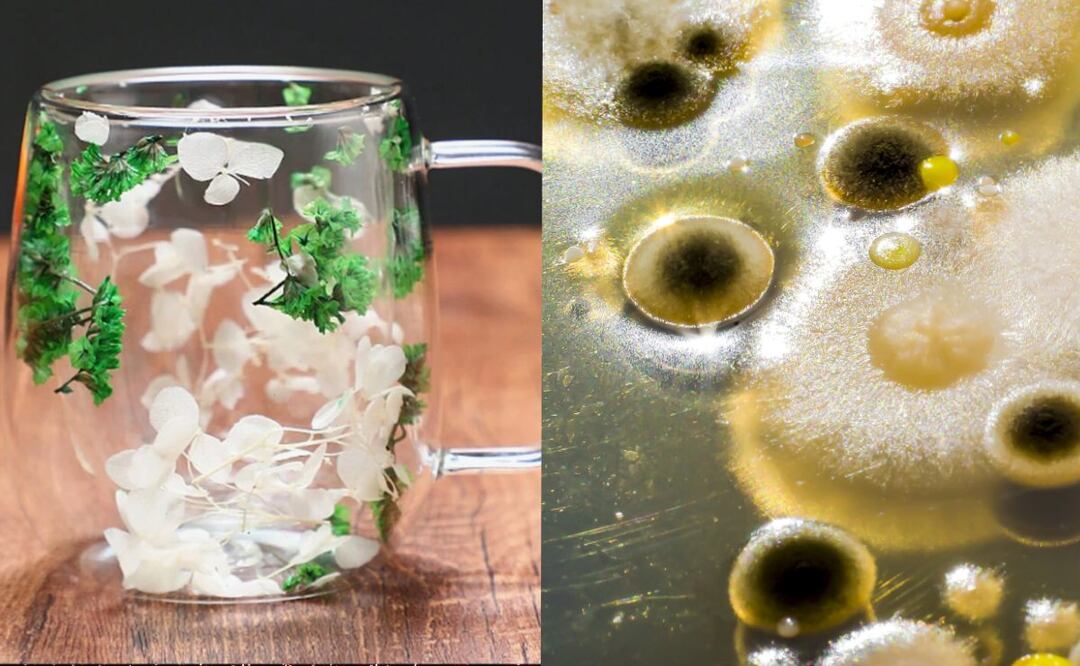 Conoce la taza de 100 pesos de SHEIN que puede contener hongos. (Foto: Captura de pantalla)