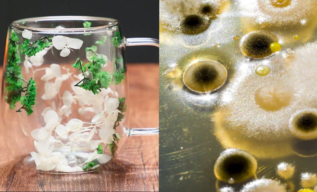 Conoce la taza de 100 pesos de SHEIN que puede contener hongos. (Foto: Captura de pantalla)