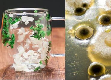 Compra taza de 100 pesos en SHEIN con flores y se convierten en hongos, video viral TikTok