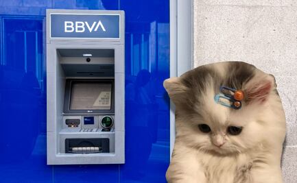 ¿Por qué están cerrando sucursales BBVA México? El banco reveló todo sobre su transformación