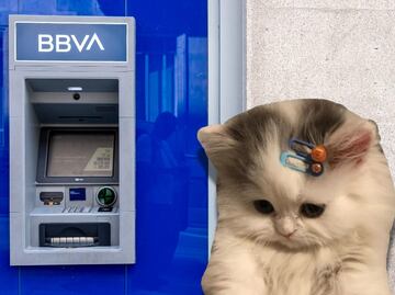 ¿Por qué están cerrando sucursales BBVA México? El banco reveló todo sobre su transformación
