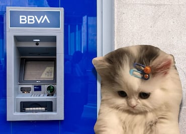 ¿Por qué están cerrando sucursales BBVA México? El banco reveló todo sobre su transformación