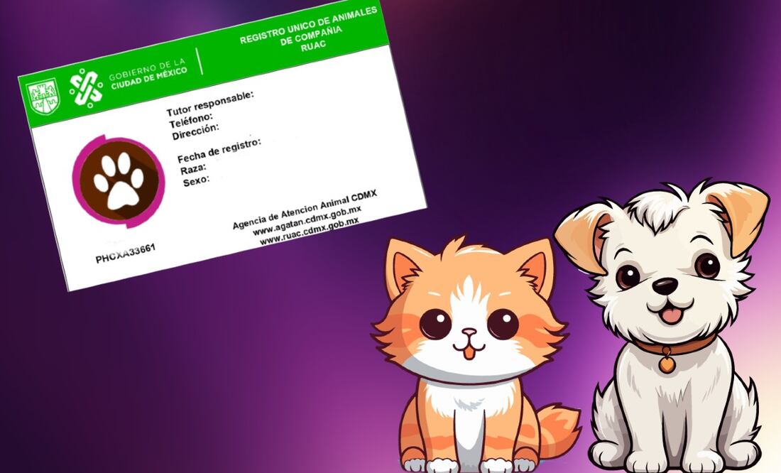 Conoce la razón por la que te pueden multar si tienes una mascota. (Foto: DeDinero)