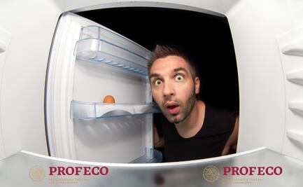 Cómo elegir el mejor refrigerador: Consejos de Profeco para ahorrar energía y dinero
