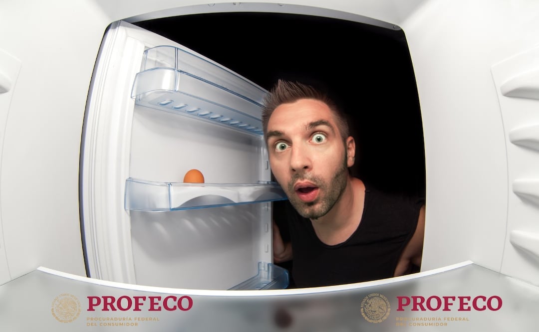 Guía practica de Profeco para saber comprar un buen refrigerador. (Foto: DeDinero)