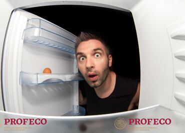 Cómo elegir el mejor refrigerador: Consejos de Profeco para ahorrar energía y dinero