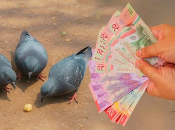 No seas migajero con tus finanzas: Aprende a darte tu lugar con el dinero