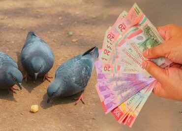 No seas migajero con tus finanzas: Aprende a darte tu lugar con el dinero