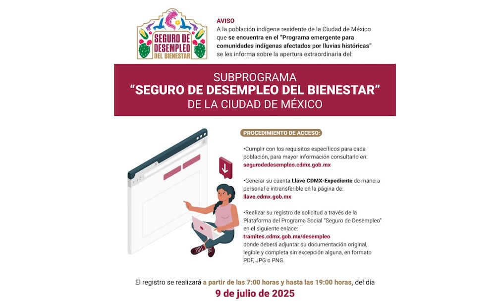 Proceso para el Seguro de Desempleo CDMX. (Foto: Redes sociales)