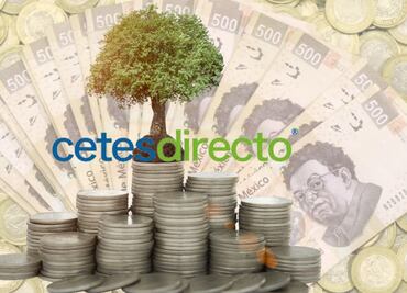 Cetes: Una opción de inversión segura y accesible para principiantes