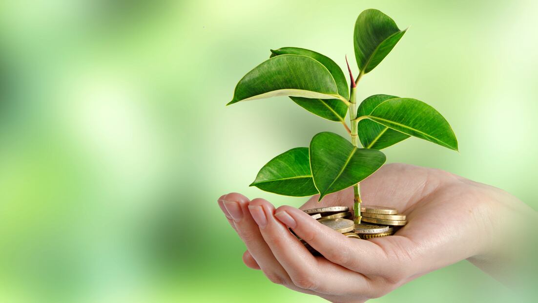 El dinero de tu AFORE no se queda guardado, se invierte en diferentes instrumentos financieros para hacer crecer tu ahorro rumbo al retiro (Foto: Canva)