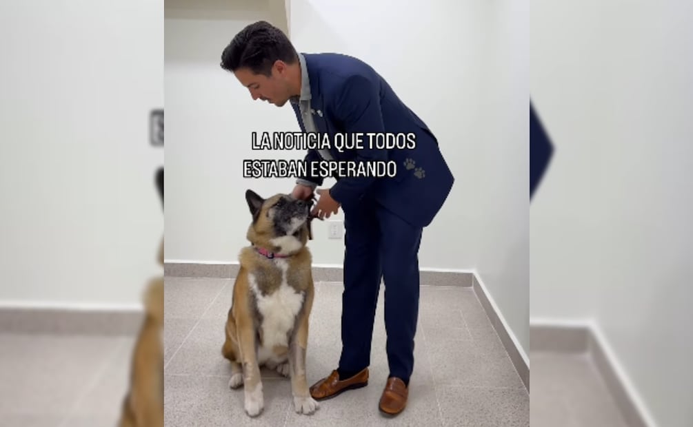 Las clínicas SimiPet del Dr. Simi (Foto: Captura de pantalla-Instagram victor.gonzalez.herrera)