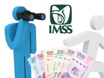 Modalidad 40 IMSS 2025: Requisitos, supervisión bimestral y nuevos métodos de Pago HSBC