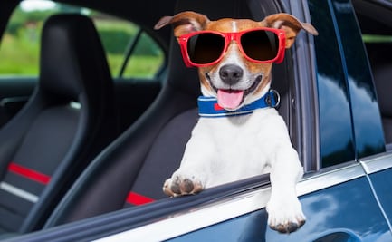 10 ahorros que haces cuando usas el transporte público en lugar del coche