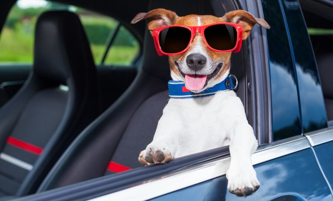 ¿Qué ahorros hay cuando se opta por utilizar el transporte público? (Foto: DeDinero)