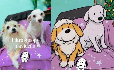 Filtro Snoopy Navideño con IA: Cómo usar GRATIS las plantillas de CapCut en TikTok