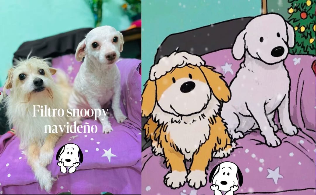 ¿Cómo editar videos de CapCut para TikTok? (Foto: DeDinero)