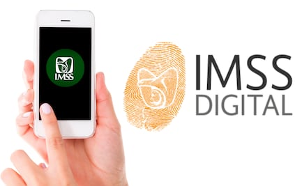 ¿Cómo saco mi reporte de semanas cotizadas en el IMSS?