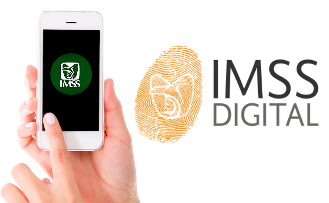 ¿Cómo tramitar el Reporte Personalizado de Cotización del IMSS? (Foto: DeDinero)