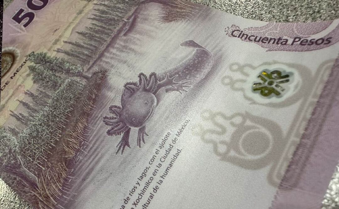 Identifica si tu billete de 50 pesos vale millones o es falso. (Foto:Dedinero)