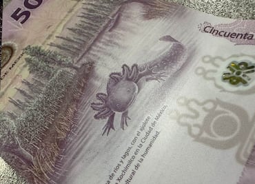 Venden Billete de Ajolote en 7 millones de pesos: Descubre si tienes uno