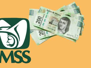 Guía IMSS: Requisitos y pasos para aumentar tu pensión de la Ley 73