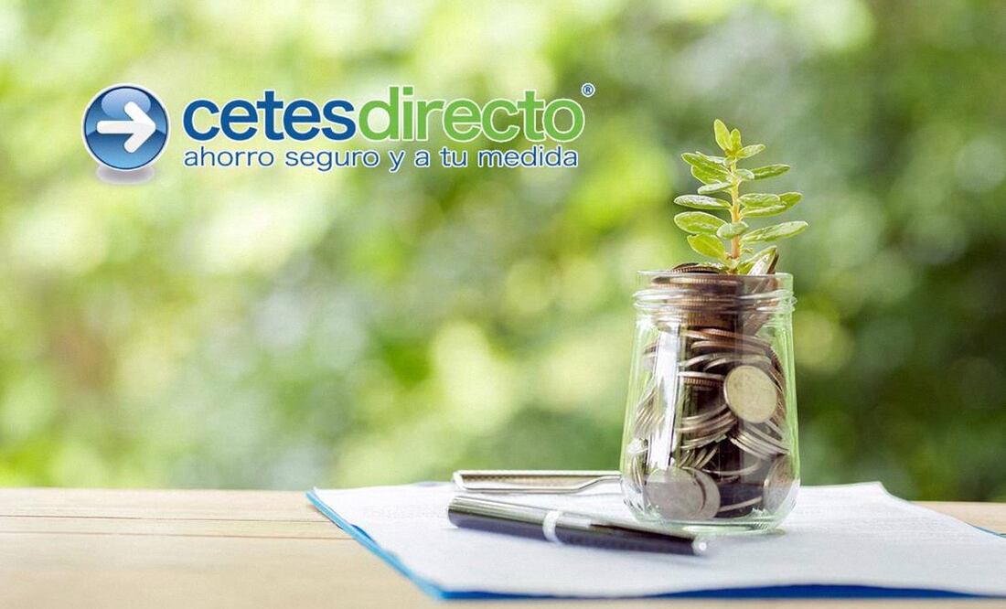 Te explicamos los BPAG28, BPAG91 y BPA182 de Cetesdirecto. (Foto: Freepik)