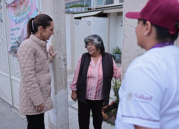 Consultas médicas gratis a domicilio, paso a paso en México