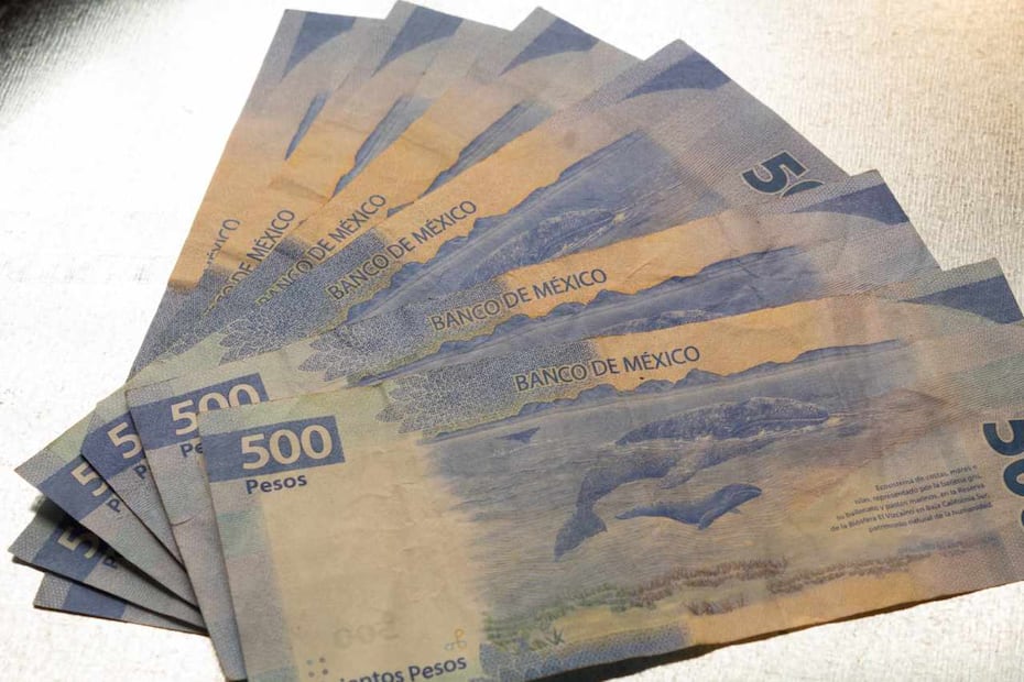 ¿Cuánto paga Cetes hoy? (Foto: DeDinero)