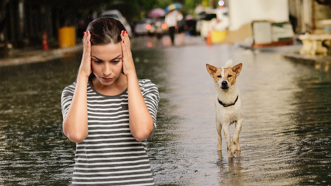 Personal de la CFE y Correos de México colaborarán en la entrega de chips gratuitos para mantener comunicación a los damnificados por lluvias (Foto: Canva)