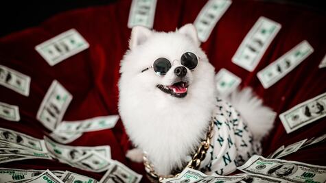 Construye tu historial de crédito desde cero, la guía práctica para jóvenes y primerizos