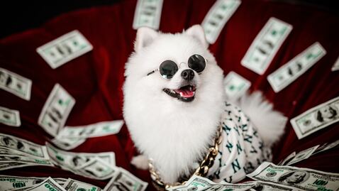 Construye tu historial de crédito desde cero, la guía práctica para jóvenes y primerizos