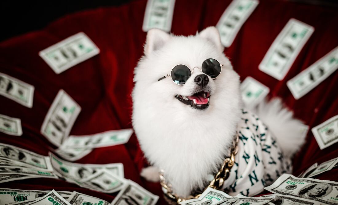 Construye tu historial de crédito desde cero (Foto: Canva)