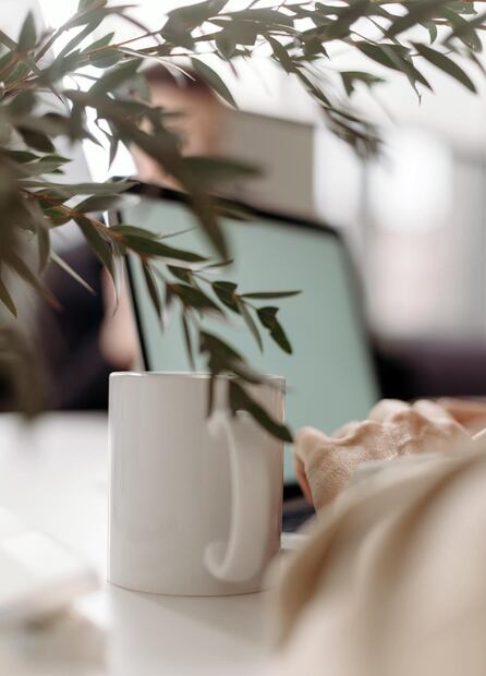 Evalúa cuáles son las carreras más estudiadas en México, ¡pero también considera tus gustos y habilidades! (Foto: Pexels)