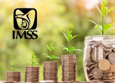 ¿Cuánto crece tu Afore si aportas 600 pesos al mes y cotizas en el IMSS?