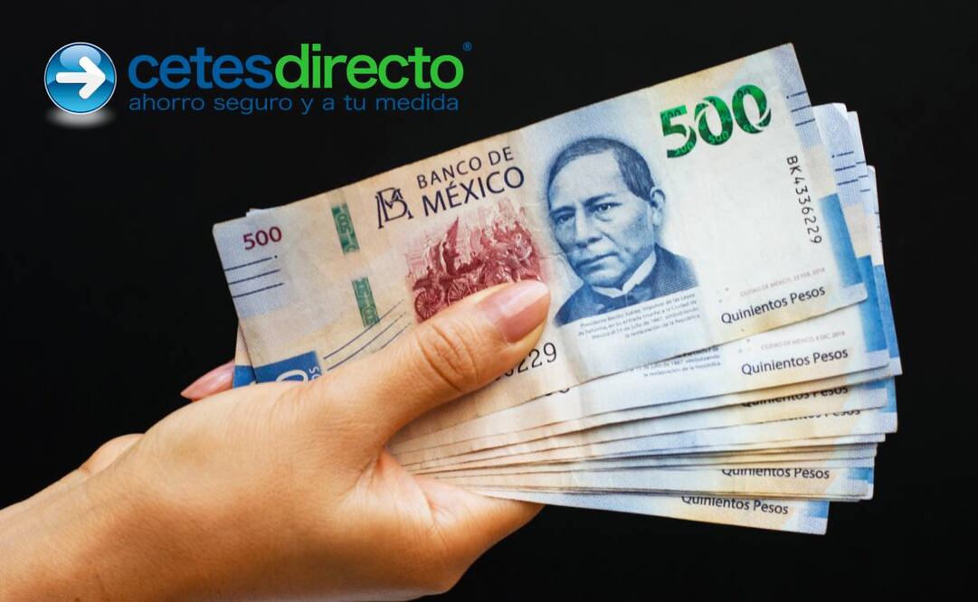 Invertir en Cetes es sencillo mediante tu computadora o dispositivo móvil. (Foto: Freepik)