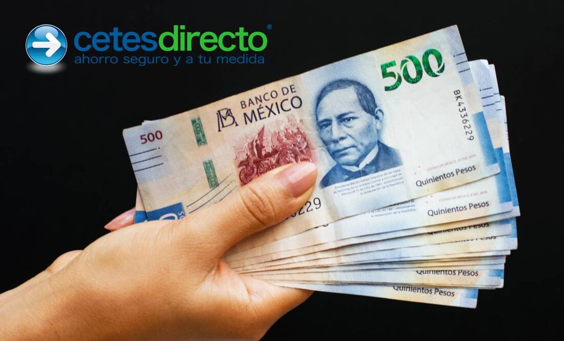 Invertir en Cetes es sencillo mediante tu computadora o dispositivo móvil. (Foto: Freepik)