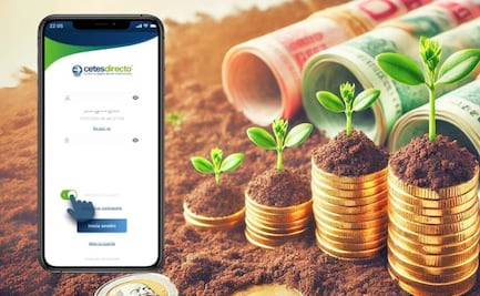 ¿Cuánto tengo que invertir en Cetes para recibir un aguinaldo de 30 mil pesos en diciembre 2024?