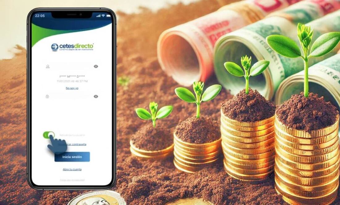 ¿Cuánto paga Cetes en 2024? (Foto: DeDinero)