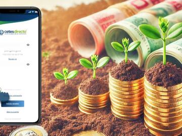 ¿Cuánto tengo que invertir en Cetes para recibir un aguinaldo de 30 mil pesos en diciembre 2024?