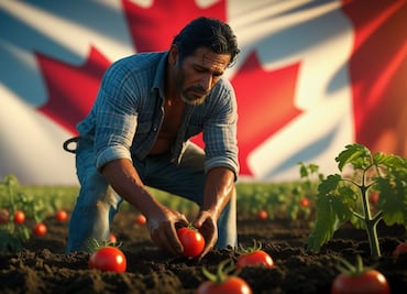 Canadá ofrece empleo sin experiencia: Gana más $12,000 a la semana