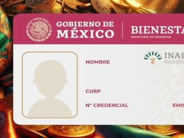 Alerta INAPAM 2024: Anuncian 50 por ciento de descuento en el pago de predial, guía para hacerlo efectivo