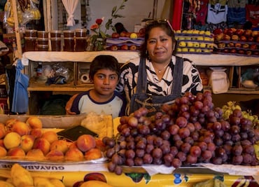 Apoyo a Madres Trabajadoras en 2025: Cómo solicitar el dinero y cuánto dan por hijo