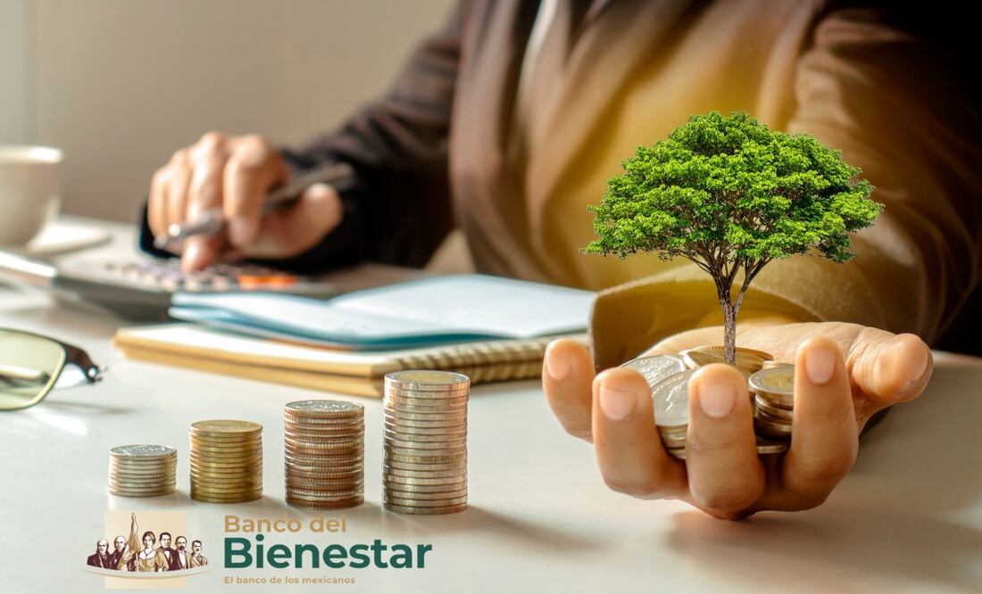 ¿Cómo funciona Tandahorro de Banco del Bienestar? (Foto: DeDinero)
