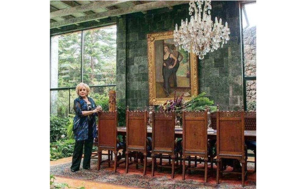 ¿Dónde está el cuadro de Silvia Pinal pintado por Diego Rivera? (Foto: Captura de pantalla)