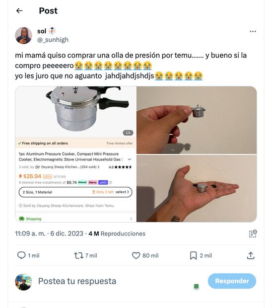 Compra en Temu en diciembre 2023 se hace viral y provoca caos en redes sociales. (Foto: X)