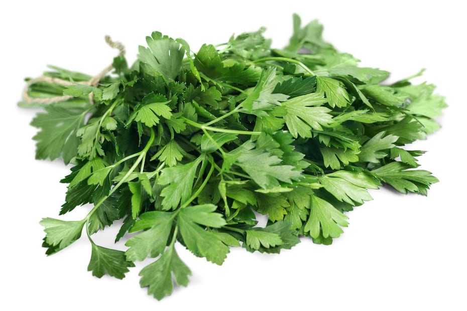 ¿Cuánto cuesta un manojo de cilantro? (Foto: DeDinero)
