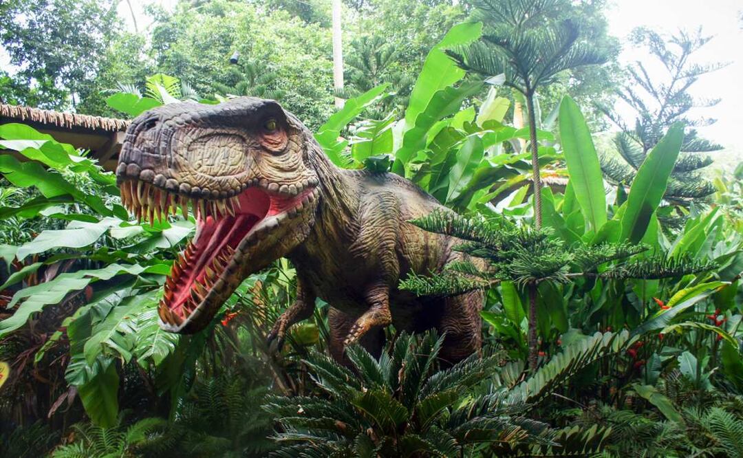 Conoce las experiencias que te ofrece Zoo Aventuras. (Foto: DeDinero)