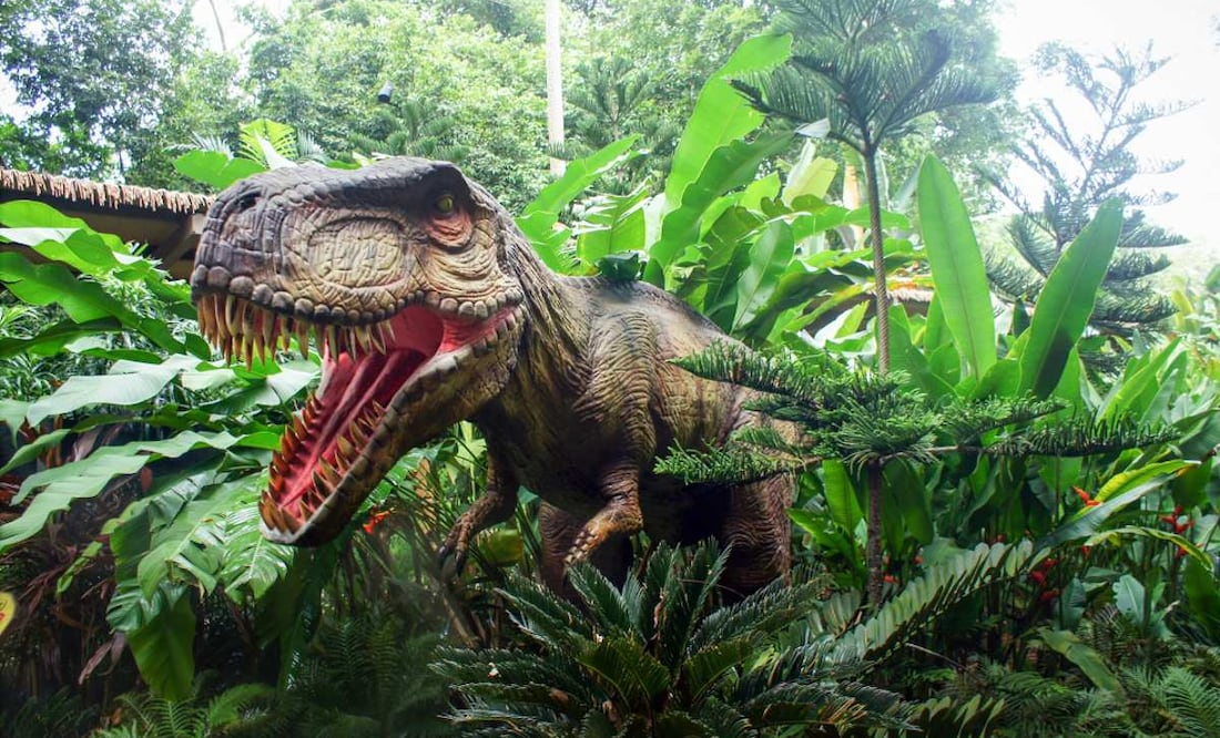 Conoce las experiencias que te ofrece Zoo Aventuras. (Foto: DeDinero)