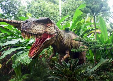 Zoo Aventuras, disfruta de la experiencia con dinosaurios, serpientes, mariposas y tiburones desde 79 pesos